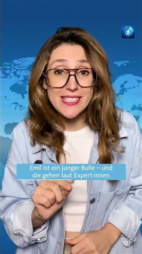 Elch auf Tour in Österreich gesichtet #tagesschau #nachrichten #elch