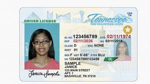 Tennessee drivers license scanned by a retailer? What we do and don't know about where your data goes