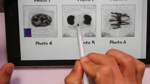 correction des exercices de l'information génétique.