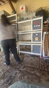 Le quotidien du nourrissage 🤗 | Le Pays Celtique