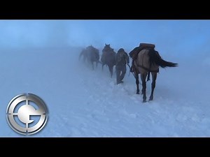 High Country Wyoming Elk Hunt