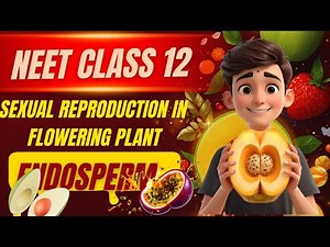 L-9 Types of Endosperm | Class 12 Biology | NEET & Boards