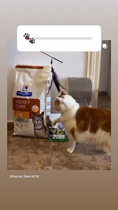 zooplus on Reels | Facebook