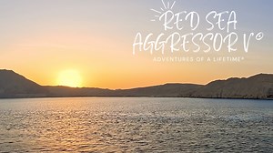 Dive Into the Red Sea Deep South with Aggressor Adventures Join us on an unforgettable journey aboard the Red Sea Aggressor V, exploring Egypt’s pristine and remote Deep South. From the vibrant coral gardens of Abu Galawa to the dramatic drop-offs of Rocky and Zabargad Islands, this liveaboard adventure offers some of the most untouched dive sites in the world. Experience up to five dives a day, encounter rare marine life, and enjoy luxury accommodations on a 131-foot yacht designed for comfort