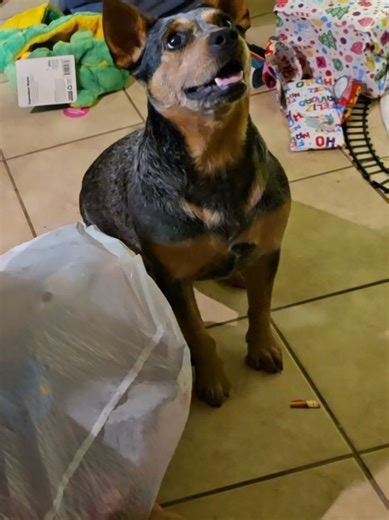 Goldfish style memory #CapCut #trending #tiktok #viral #fyp