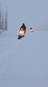 Trapping in northern Alberta, knee-deep in snow! ❄️ For more information about our company, please visit our website: http://www.bushman-inc.ca/ | Bushman Inc.