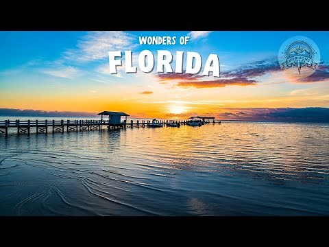 Wonders of Florida | The Most Amazing Places in Florida | Travel Video