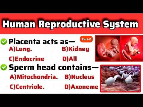 Human Reproduction in 50 MCQs | Very Very Important for All Medical Exams |