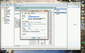 ActiveX Installer (AxInstSV)