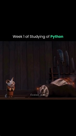 Codex | Learn Coding on Instagram: "Python Roadmap 👇🏻 You’re probably overwhelmed by all the Python advice out there — YouTube tutorials, Twitter threads, random blog posts… But none of them give you a clear, step-by-step path to actually land your first Python developer job. That’s exactly why so many people give up before they even start. Let me show you the exact roadmap I followed — from total beginner to landing my first Python role in just a few months. Yes, it takes effort. But if you’r