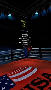 New USA Boxing Arena ! 🥊🥽🥇 | Golden Gloves VR
