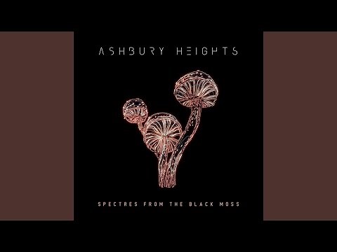 Spectres from the Black Moss