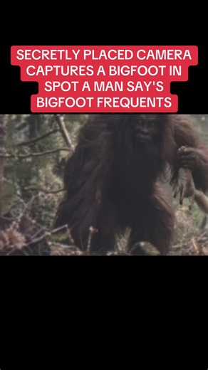 For entertainment purpose.#bigfoot #yeti #sasquatch #paranormal #scary | bigfoot