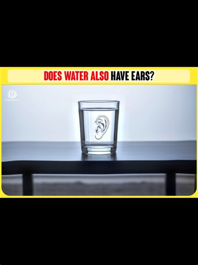 Can Water Hear Our Words? Discover Dr. Emoto's Experiment