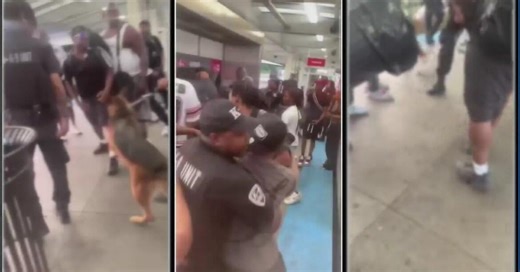 3 arrested in brawl with K9 security guards at Red Line station