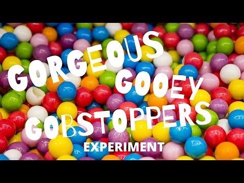 Gorgeous Gooey Gobstoppers Candy Science Experiment