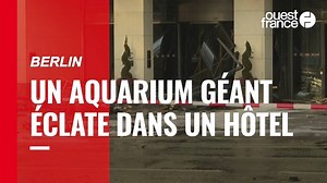 VIDÉO. Berlin : un aquarium géant contenant 1500 poissons tropicaux éclate dans un hôtel