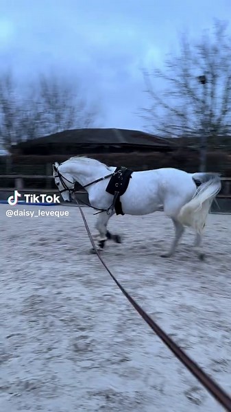 Vidéos de 🌸daisy🌸 (@daisy_leveque) avec 原创音乐 - ATHLETE'S ADRENALINE ⚡