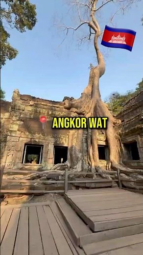 Angkor Wat SHOULD Be the 8th Wonder of the World! 🏛️#angkorwat