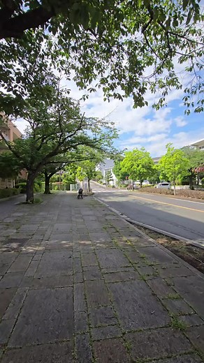 横浜市は神奈川県に位置する都市で、人口は約377万人です。横浜市には、みなとみらい21、横浜中華街、山下公園、横浜スタジアム、ランドマークタワー、八景島シーパラダイスなど、多くの観光スポットがあります。青葉区、旭区、泉区、磯子区、神奈川区、金沢区、港南区、港北区 、栄区、瀬谷区、都筑区、鶴見区、戸塚区、中区 、西区、保土ケ谷区、緑区、南区の18の行政区があります。 #横浜市 #横浜 #Yokohama #yokohamajapan #よこはま #横濱 #横浜散歩 #yokohamacity #横浜を歩く #神奈川県横浜市 #yokohama_walks #yokohamacity #浜っ子 #横浜市中区 #中区 #本牧