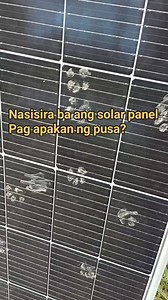 11K views · 40 reactions | Grabi namang pusa ito ka dumi ng paa . Sira ang solar panel neto #electrician #relay #control #power #technician #switch #wiring #engineering # #diy #electrical | Electricians Guide | Facebook