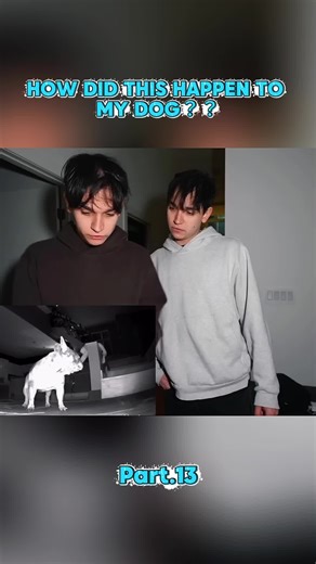 HOW DID THIS HAPPEN TO MY DOG？？ #fyp