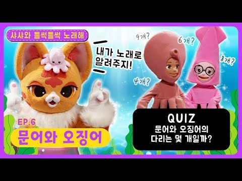 딩동댕유치원 - 문어와 오징어