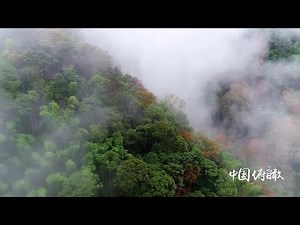 世界遺産「武夷山」を訪ねて 福建省