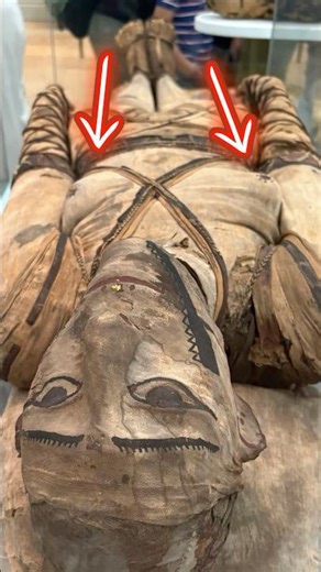 There is something unusual about this mummy #egypt