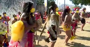 S.Africa's Zulu reed dance scaled back on virus fears | Africanews