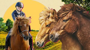 Mein Pferdesommer: Lia bei den Islandpferden - hier anschauen