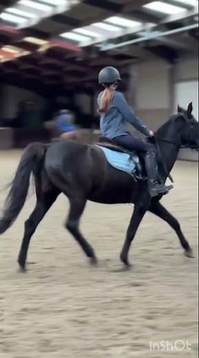 𝐂𝐮𝐭𝐢 𝐩𝐫𝐚𝐥𝐢𝐧𝐞💗 #horse #equestrian #equestrian #automobile #horseriding