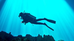 Unusual discoveries beneath the water's surface