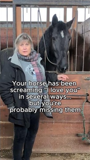 How To Tell If Your Horse Likes You
