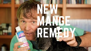 How to Treat Mange in Dogs at Home - Veterinary Secrets with Dr. Andrew Jones, DVM