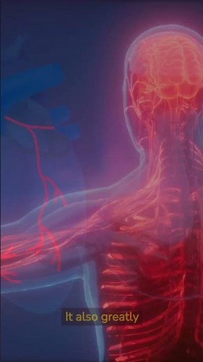 Overview nattokinase for blood clots