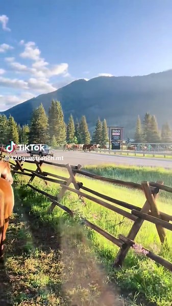 320 Guest Ranch on TikTok