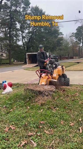 Expert Stump Removal Services in Humble, TX
