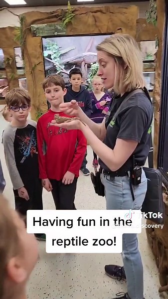 Exploring Reptiles on a Rainy Day