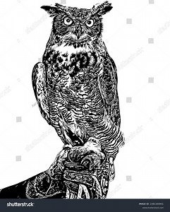 Realistic Detailed Sketch Great Horned Owl Stock Vector (Royalty Free) 2381344951 | Shutterstock