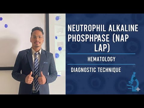 13. Neutrophil Alkaline Phosphatase (NAP/LAP) Stain | Neutrophil Function & CML