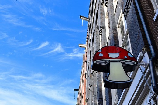 A psychedelic guide to Amsterdam: What to know about getting weird, Dutch-style