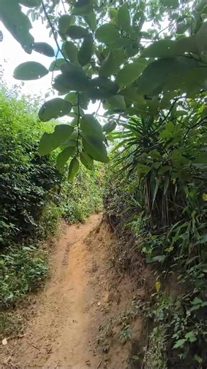 Angel Rogel on Reels