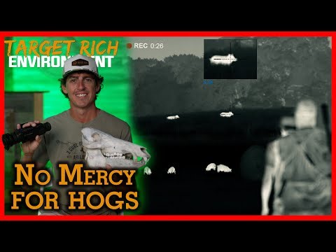 Wild Hogs! - Target Rich Environment - No Mercy for Hogs - 4K