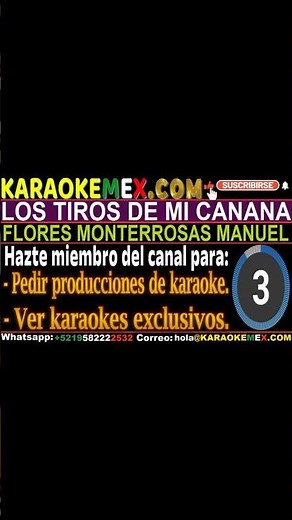 Karaoke Vicente Fernandez - Los Tiros De Mi Canana #karaokemex