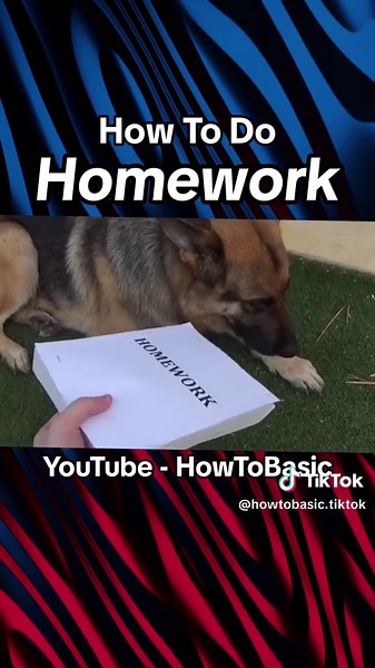 #HowTo Do Your #Homework 🚌✏️📚