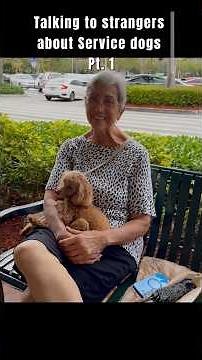 What do people know about ￼ Service dogs ￼laws