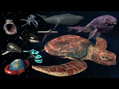 World Turtle Vs Space Bloop - 3D Sea Monster Size Comparison