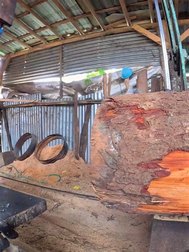 Impressive Fresh Lumber Cutting Revealed