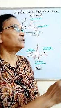 Depolarisation and Repolarisation in heart || membrane potentials of heart #neet Biology